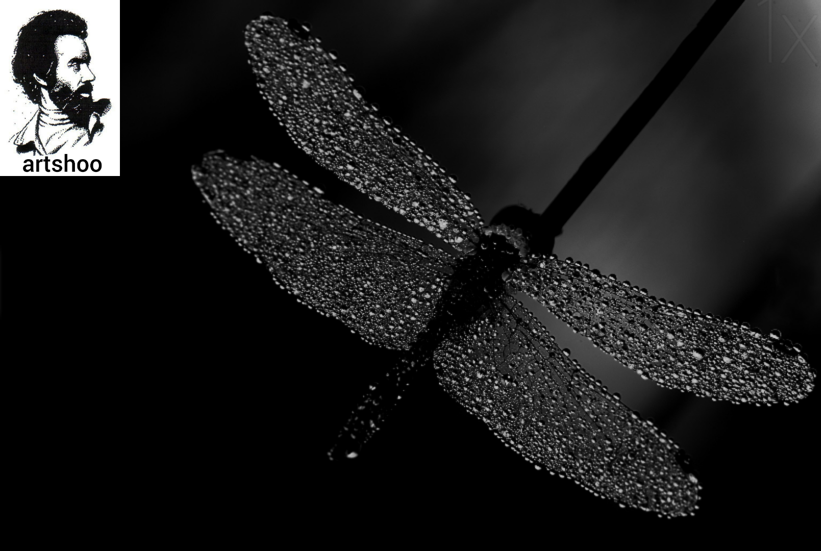 مدل سیاه قلم اورژینال